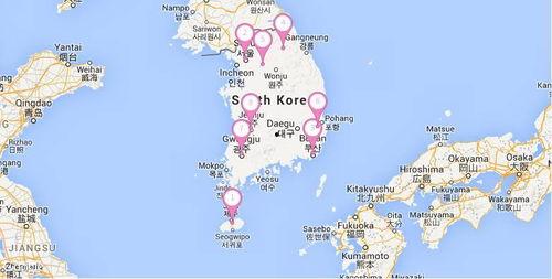 印尼巴士模拟器国产车辆模组 